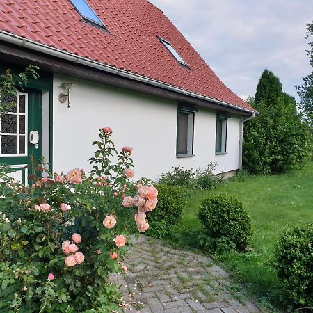 Oeko-Ferienhaus Rappin Bagian luar foto