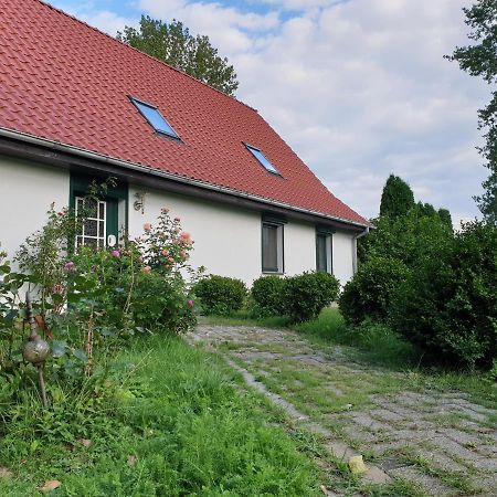 Oeko-Ferienhaus Rappin Bagian luar foto