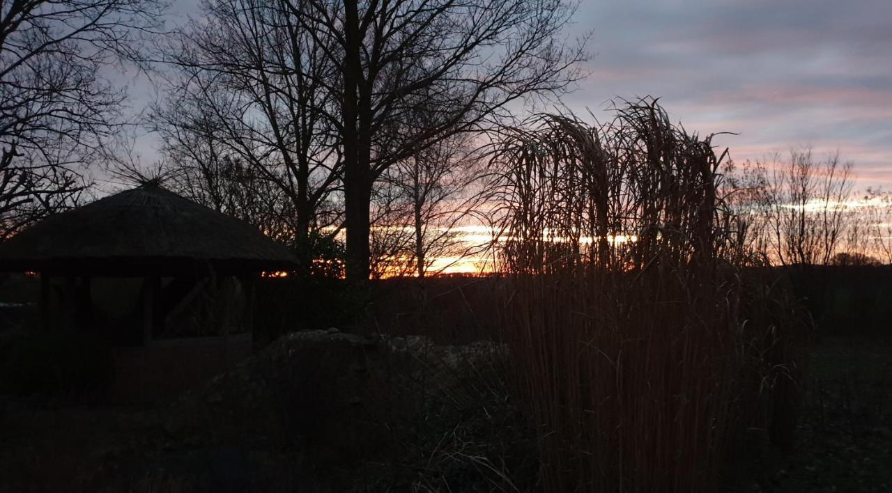 Oeko-Ferienhaus Rappin Bagian luar foto