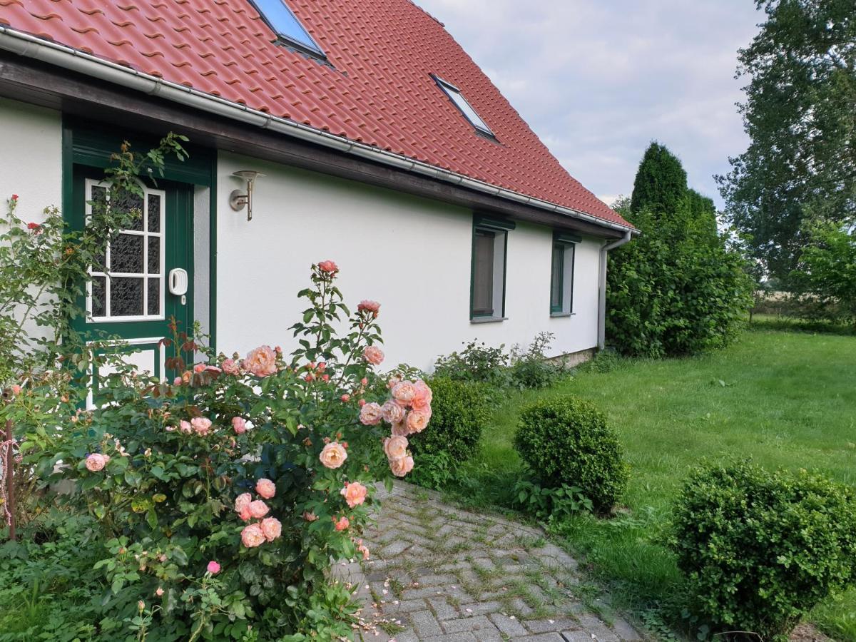 Oeko-Ferienhaus Rappin Bagian luar foto