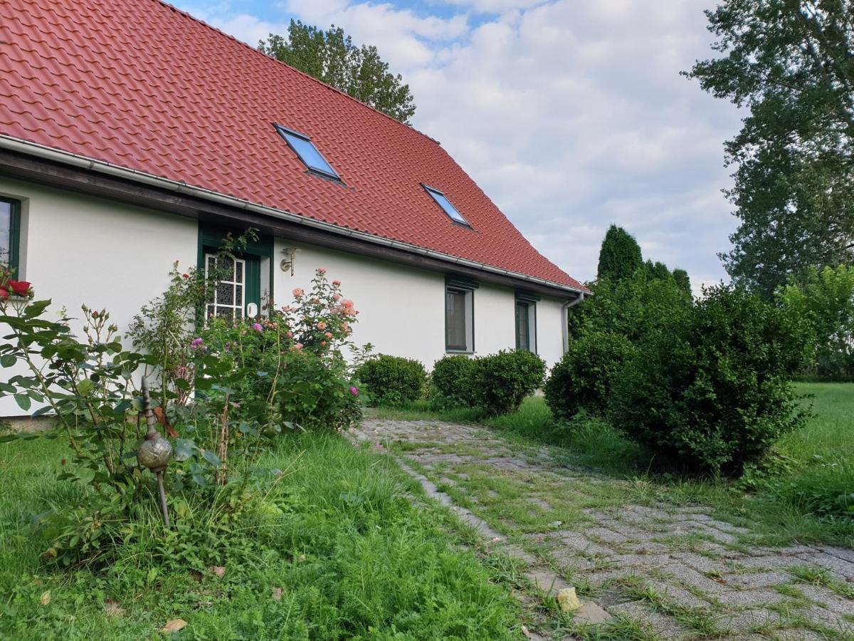 Oeko-Ferienhaus Rappin Bagian luar foto